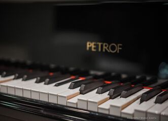 PETROF 160