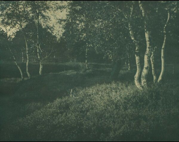 Tvůrčí fotografická dílna historické fotografie: Gumotisk