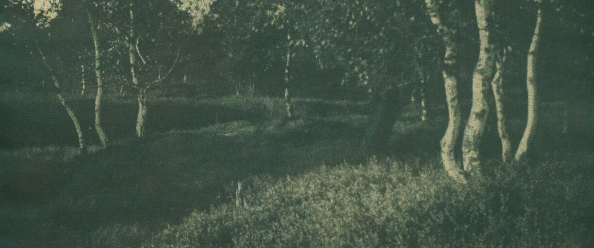 Tvůrčí fotografická dílna historické fotografie: Gumotisk
