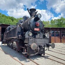 354.195 "Všudybylka"